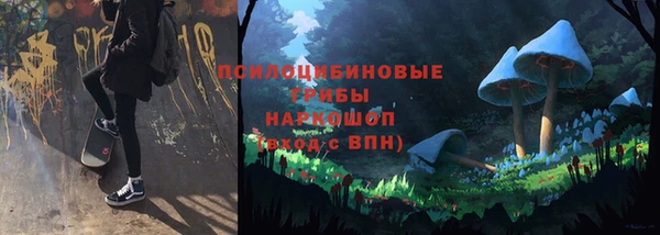 мдпв Надым