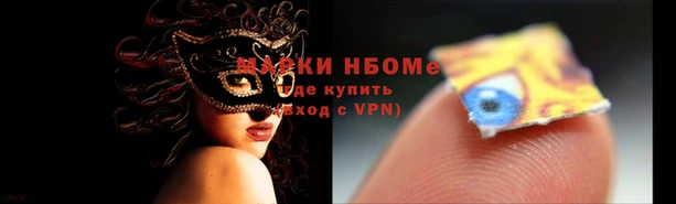 стаф Навашино