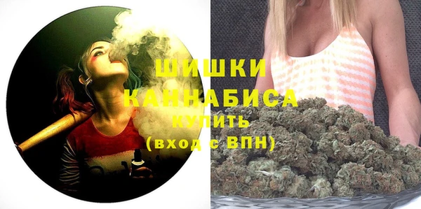 мдпв Надым