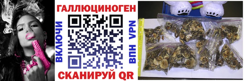 Псилоцибиновые грибы Psilocybe  Купить закладки  Ленинск 